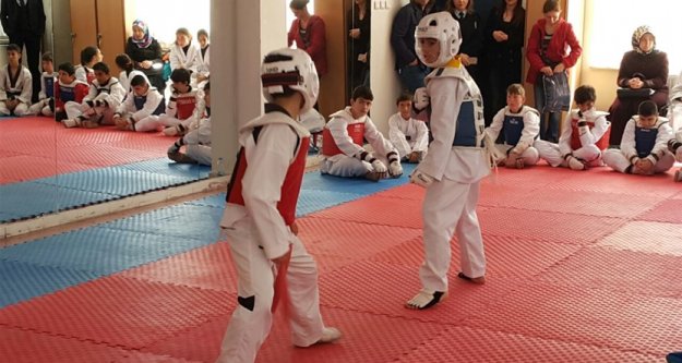Taekwondo yıldızlar il birinciliği yapıldı