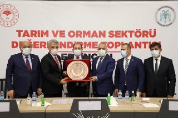 Tarım ve Orman Bakan Yardımcısı Tunç,  Erzincan'da sektörel değerlendirme toplantısına katıldı