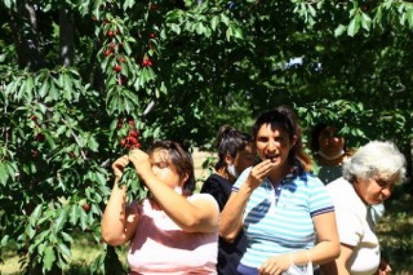 Erzincan Belediyesi meyve bahçeleri Engelsiz Yaşam Merkezi öğrencilerini ağırladı