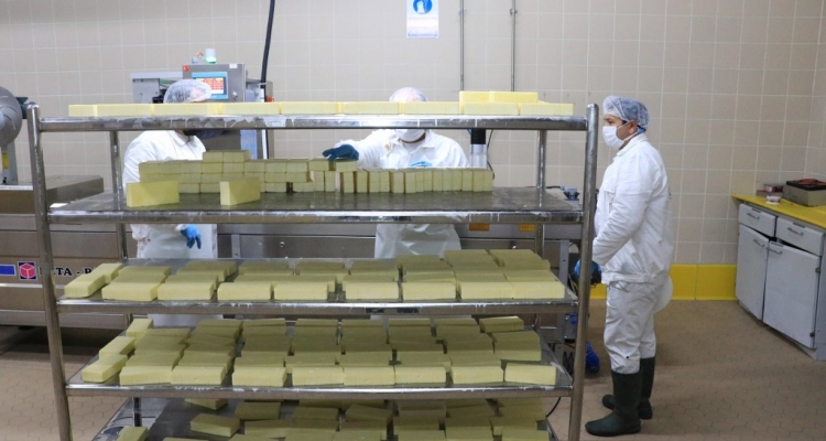 Tarım Kredi Birlik AŞ'nin Erzincan'daki peynir fabrikası çiftçiye de ülkeye de kazandıracak