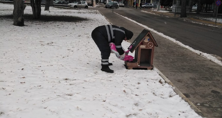 Erzincan Belediyesi soğuktan etkilenen sokak hayvanlarına yem bırakmaya devam ediyor