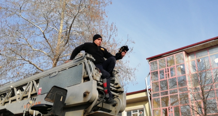 Erzincan'da ağaç dalına takılı kalan kargayı itfaiye kurtardı