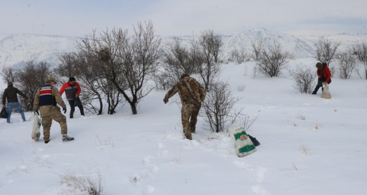 Erzincan'da jandarma ve milli parklar ekipleri yaban hayvanlarına yem bıraktı