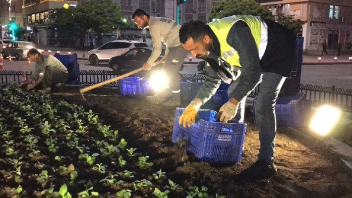Erzincan Belediyesi kendi ürettiği çiçeklerle kenti süsleyecek
