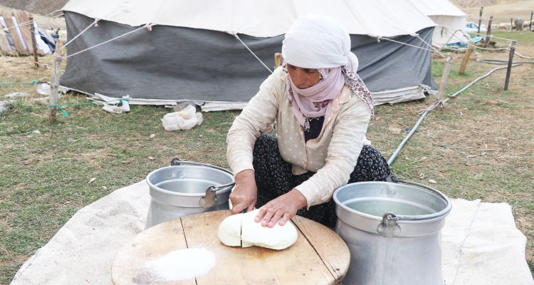 Erzincan'ın tescilli tulum peynirinin  yayladan sofraya yolculuğu