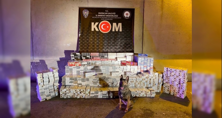 Erzincan'da 24 bin 240 paket gümrük kaçağı sigara ele geçirildi