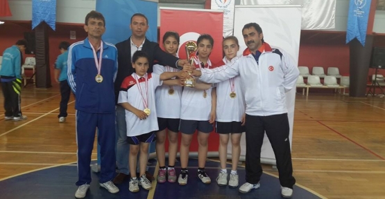 Mehmetçik İlkokulu Türkiye Şampiyonu Oldu